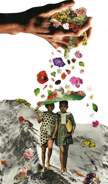 Collage made from National Geographic by Caroline Alkire