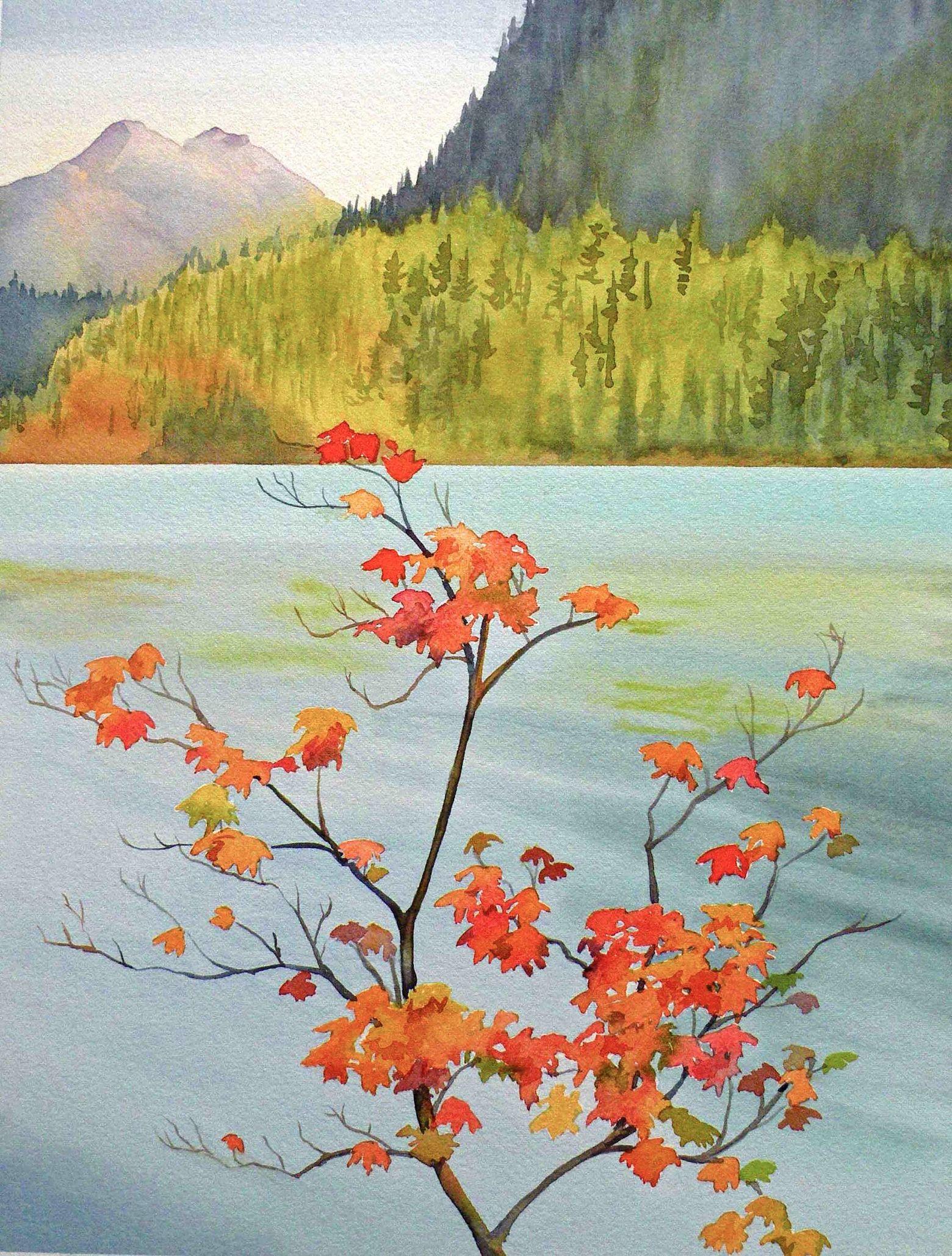 A Seattle artist's inspired guide to our majestic 'Trees of the ...